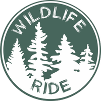 Wildlife Ride — организация фототуров и экспедиций