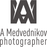 Wedding photographer in Moscow and around the world Andrey Medvednikov