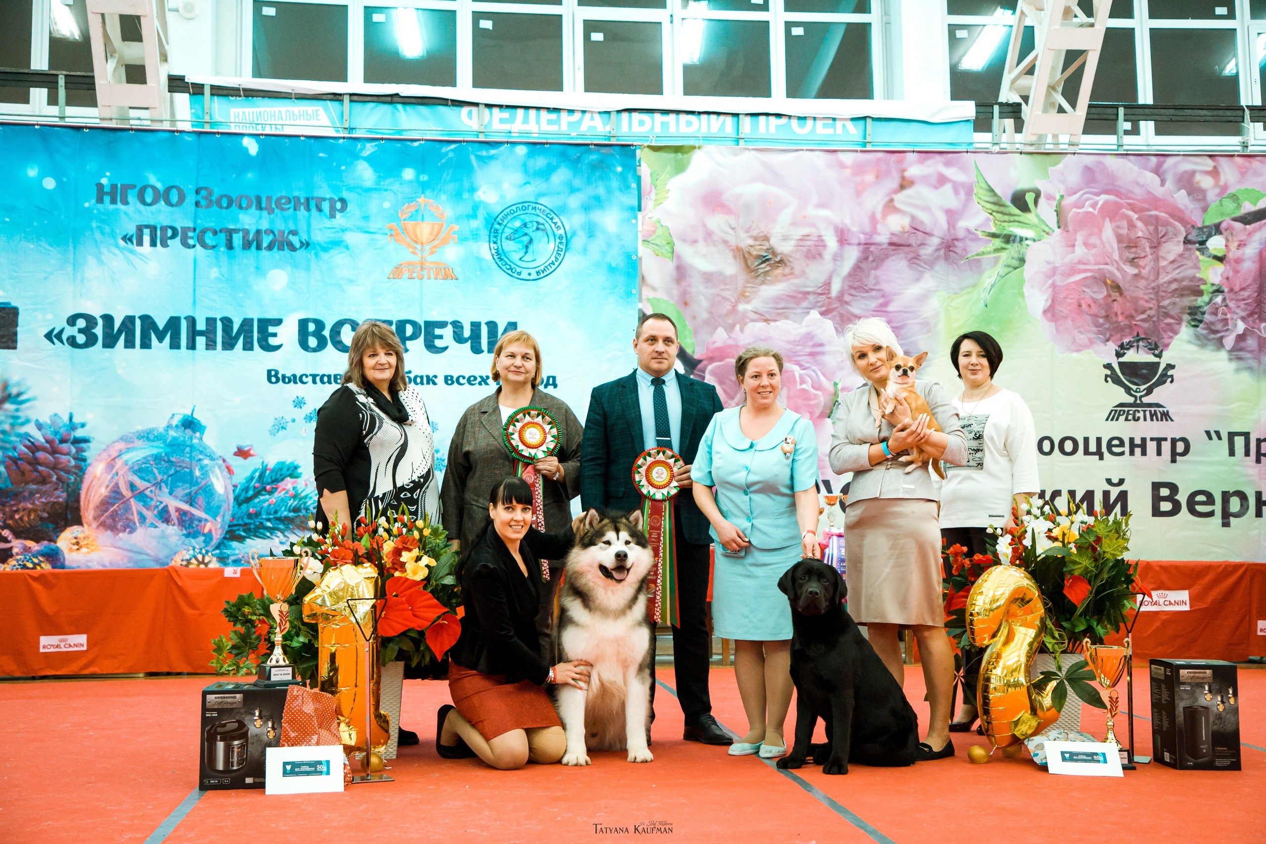 Академгородок выставка собак предстоящие. Выставка собак всех пород ранга САС ЧФ "Вернисаж-шоу 2023" Сочи.
