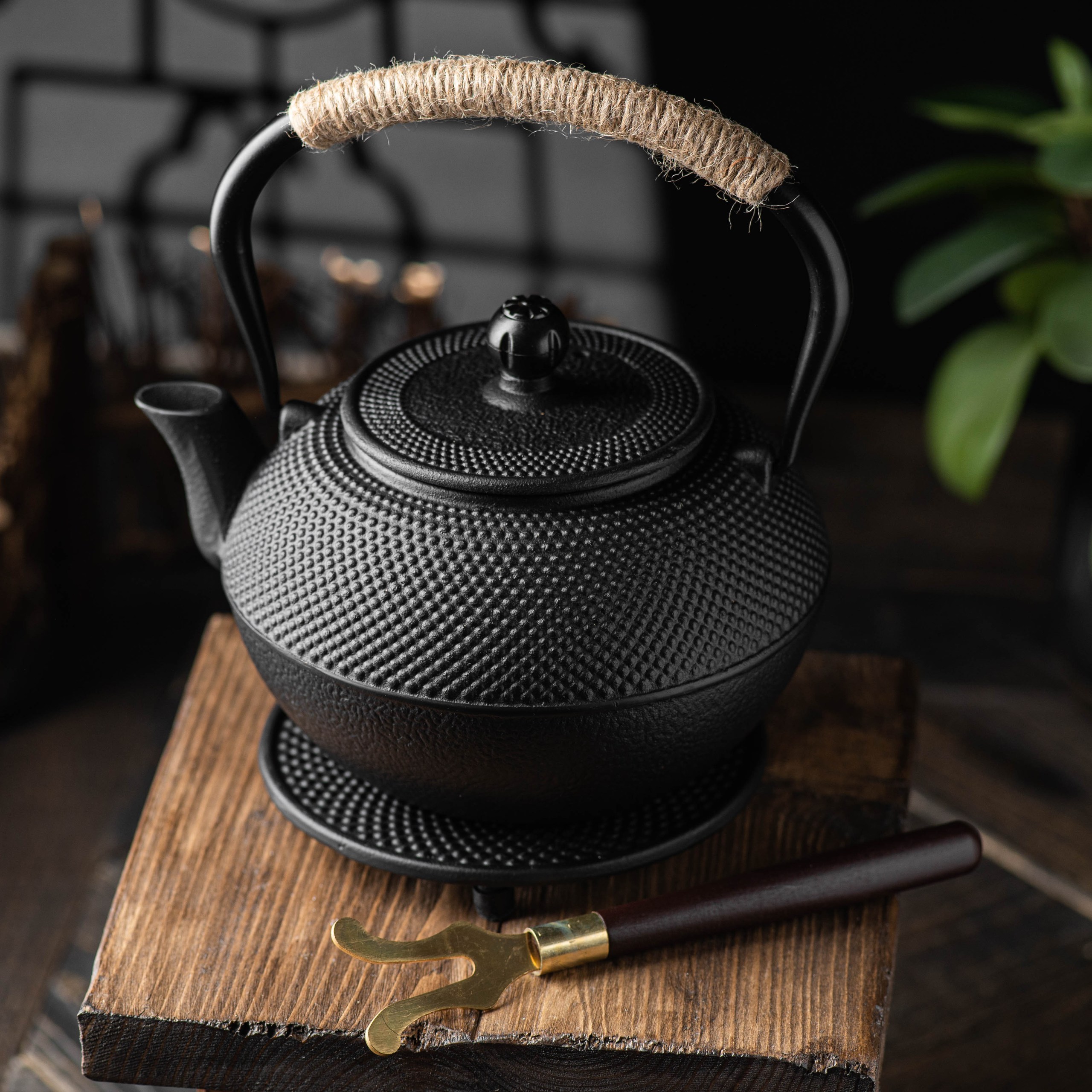 Teavana чайник чугунный. Чайник тэцубин Япония. Чугунный чайник для заваривания чая. Чайник чугунный Япония.