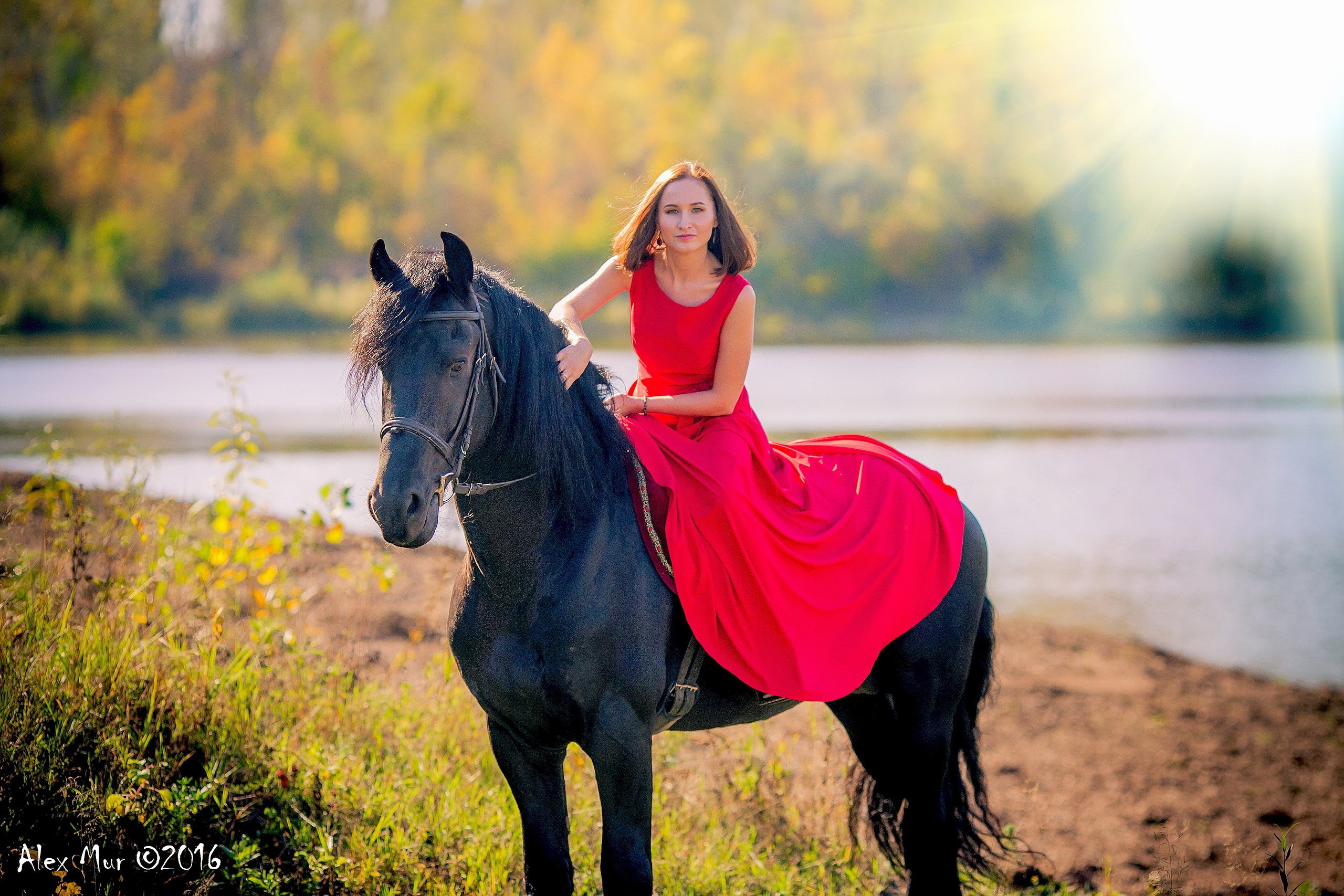 Конюшня уфа. КСК любимая конюшня Уфа. Фотосессия с лошадьми. Конная фотосессия в платье. Фотосессия с фризом.
