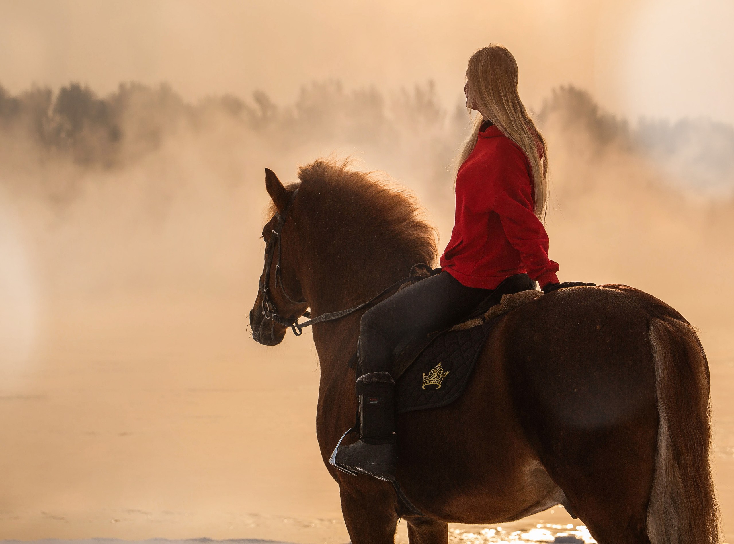 Девушки катаются на лошадях. Лошадь фотохудожник. Профессиональные фотографии лошадей. Профессиональные фотографии лошадей и РИТСЕР.