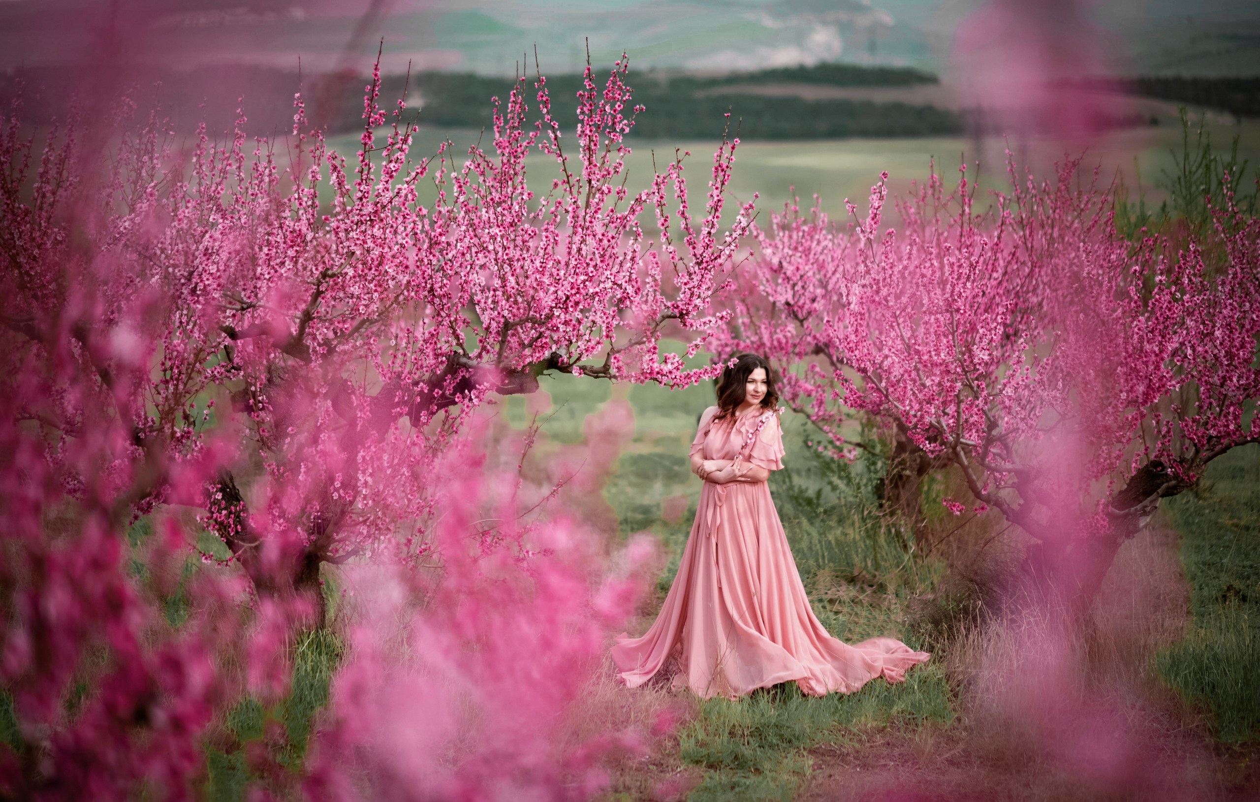 Как пройти ожидания среди цветов. Фотосессия в персиковом саду. Девушка в персиковом саду. Персиковый сад фото. Фото Цветущий сад фотошоп рассвет.