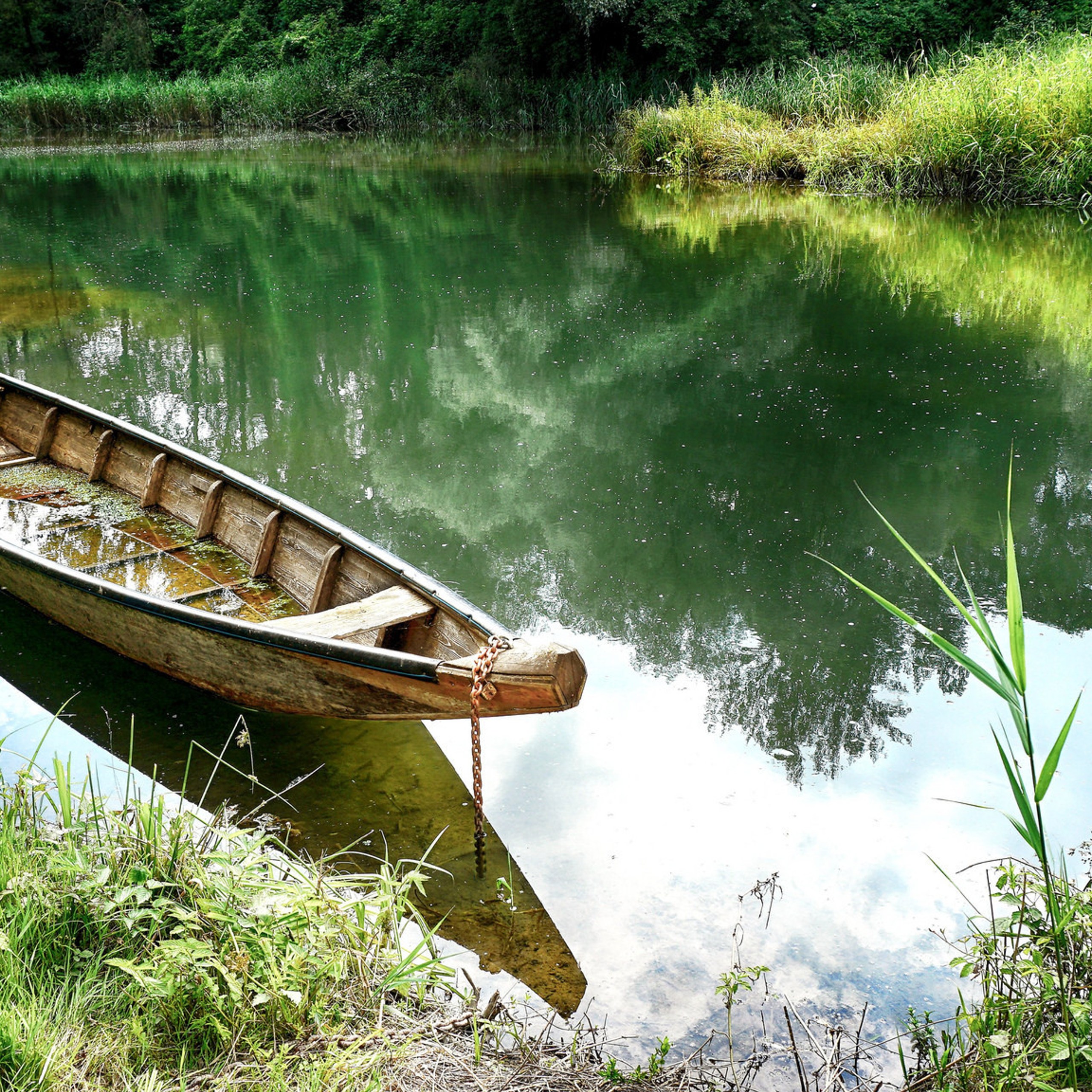 Обои на телефон река. Лодка на реке. Лодка на пруду. Лодка на речке. Речной пейзаж.