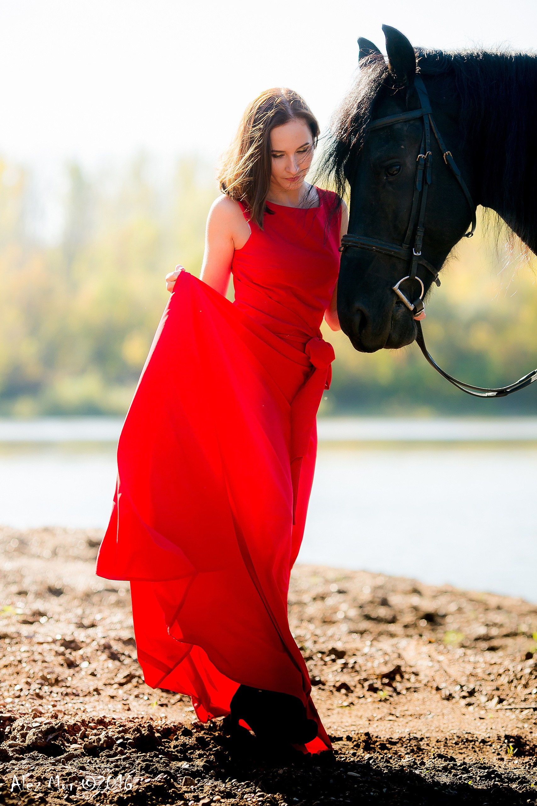 Любимая конюшня. Фотосессия с фризом. Фотосессия с лошадьми на ипподроме. Фотосессия с фризом в Красном платье. Девушка в конюшне в платье.