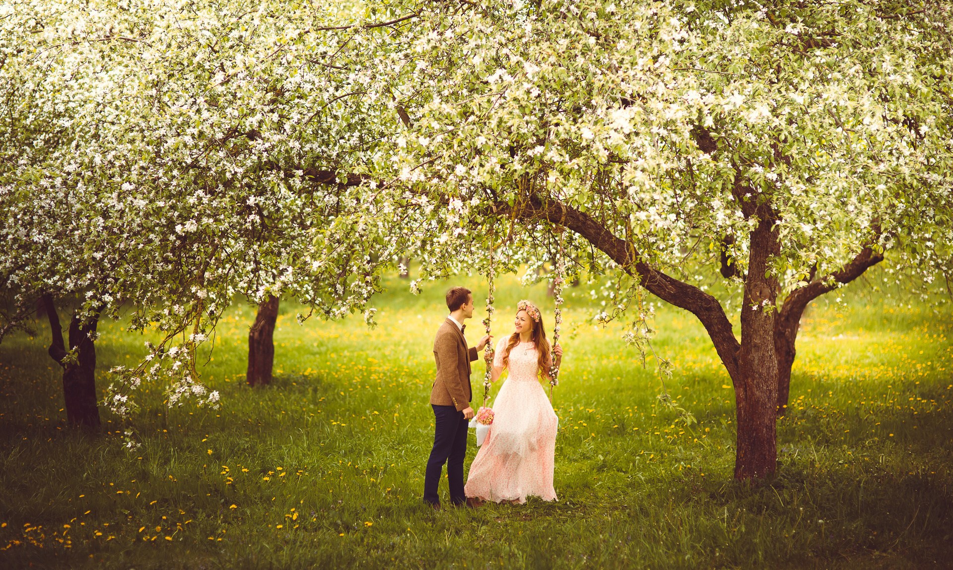 Пара яблонь. Невеста в яблоневом саду. Свадьба в цветущем саду. Пара в яблоневом саду. Свадьба в цветущем яблоневом саду.