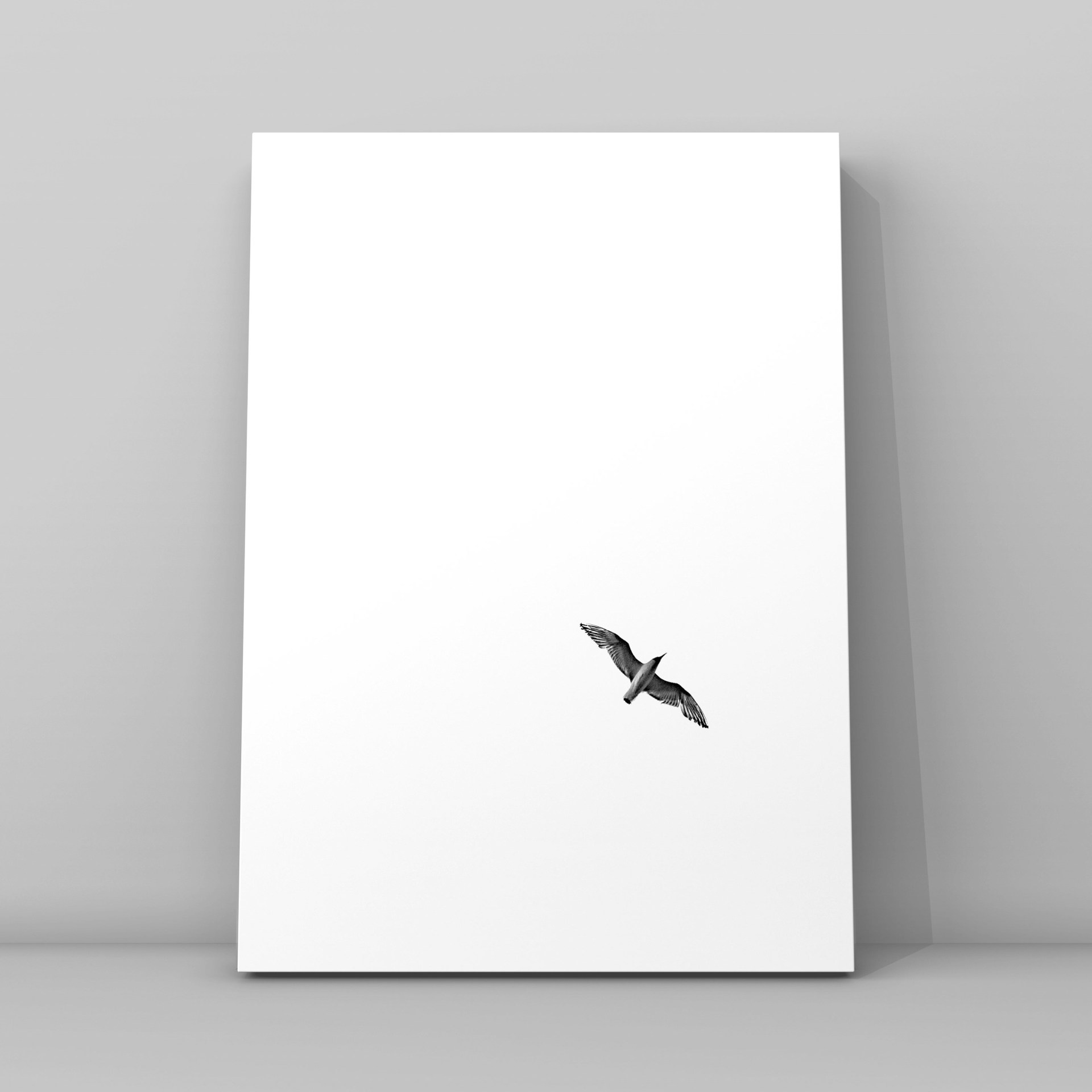 Силуэт чайки маленький чб минимализм. Фотограф в Москве Сергей Коршунов