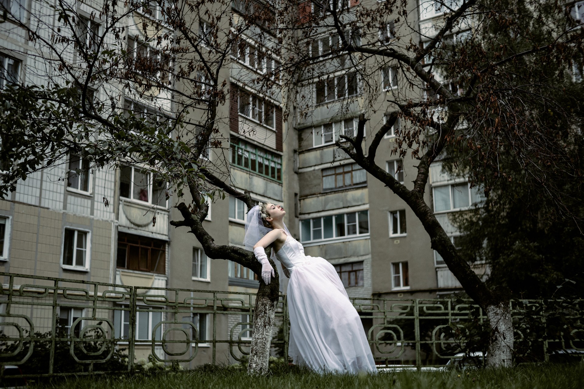 Сбежавшая невеста президента мини. Сбежавшие невесты 2023. Сбежавшие невесты Рыбинск 2015.